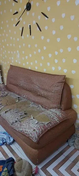 Sofa Chairs