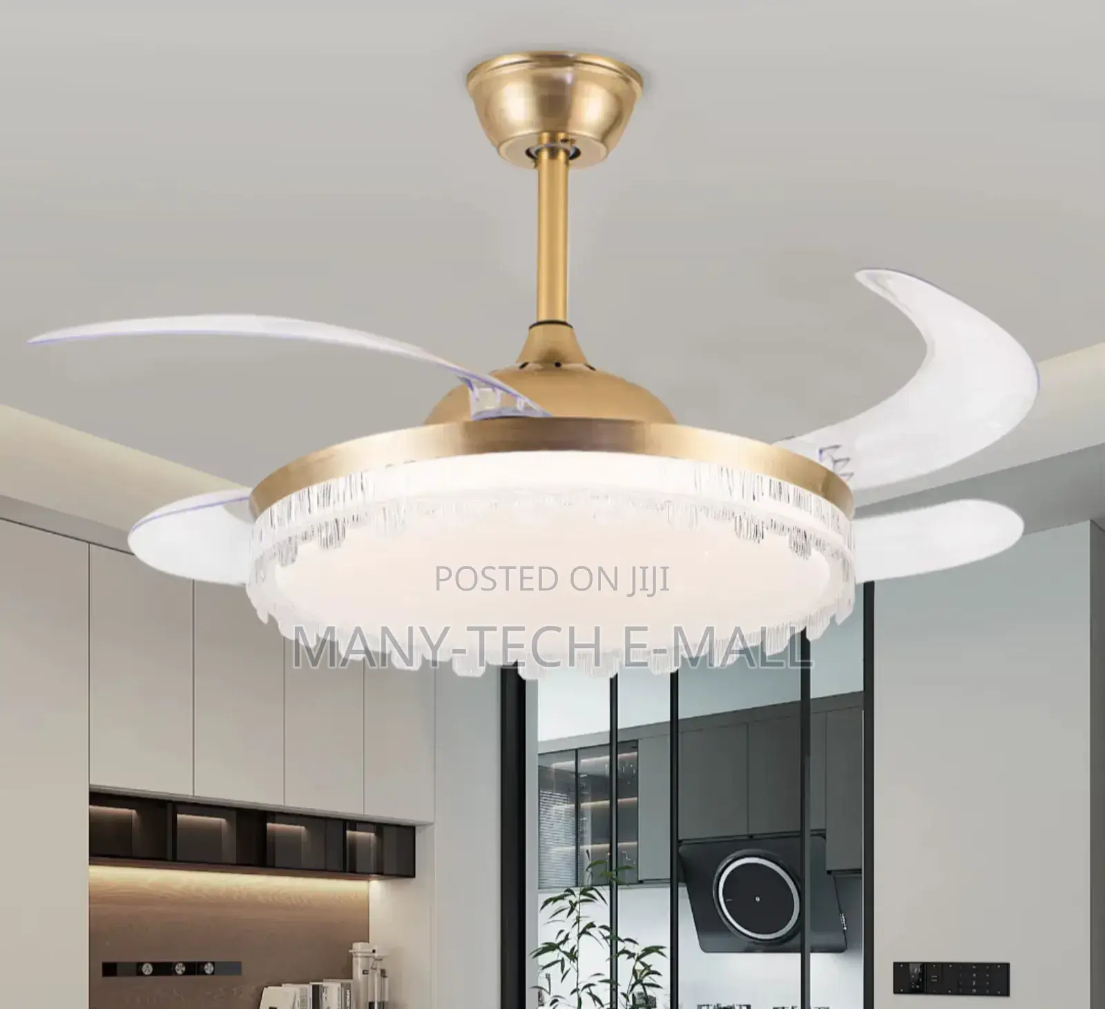 Modern Fan With Light