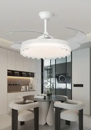 Modern Fan With Light