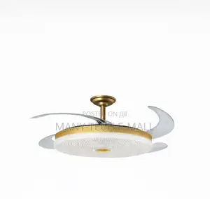 Modern Decor Fan With Light.