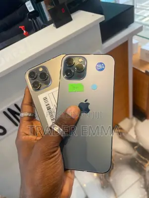 Apple iPhone 12 Pro Max 128 GB Gray
