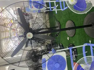 Standing Fan
