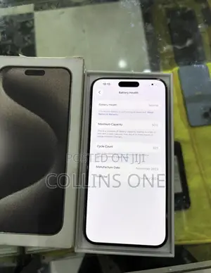 Apple iPhone 15 Pro Max 256 GB Silver
