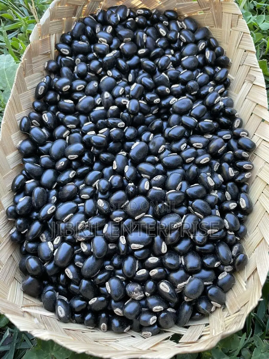 Black Mucuna Pruriens (Black Velvet Beans)Powde, 200g /30gh