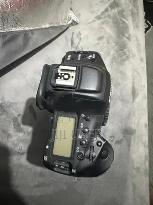 Canon 1dx Mark Ii With Tamron 150-600mm