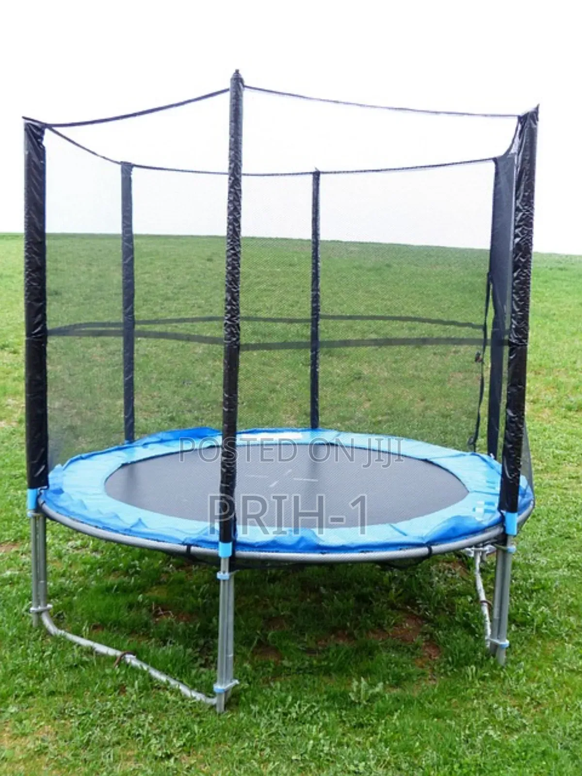 Trumpoline for Sale