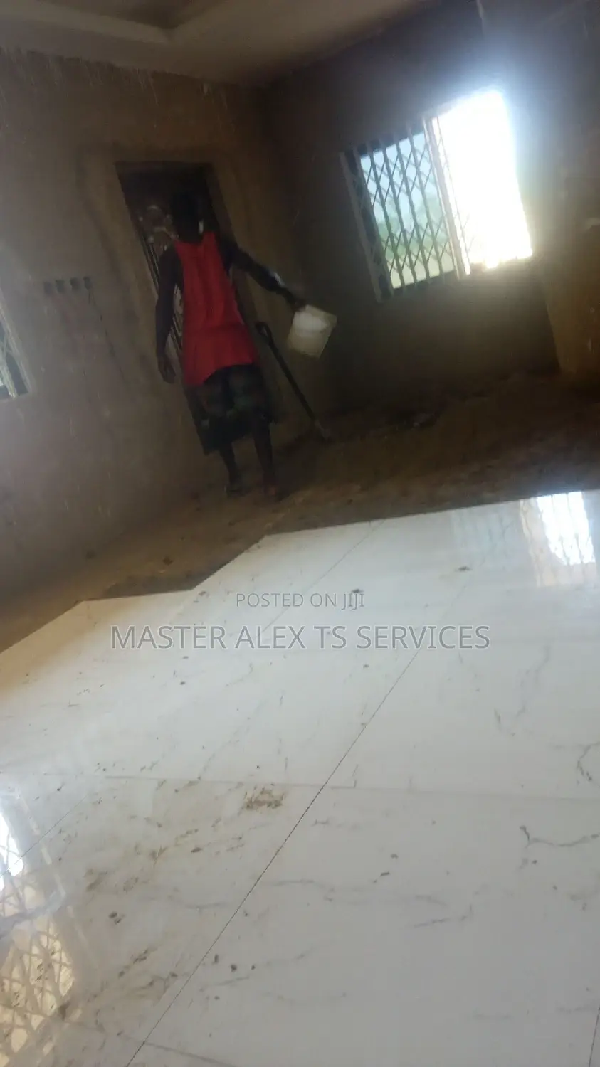Professional Tiller