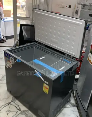 Available Grey Nasco Electric 251 Liters Nas300 Lock Key Freezer