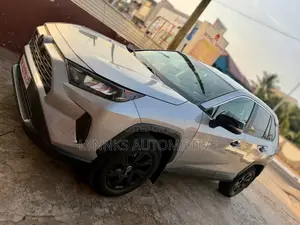 Toyota RAV4 LE AWD 2024 Gray