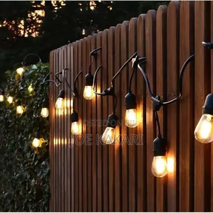 Decoration Rope Light and Bulbs