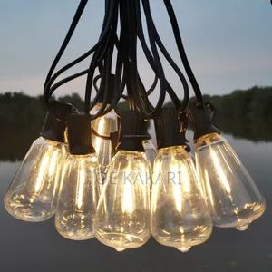 Decoration Rope Light and Bulbs