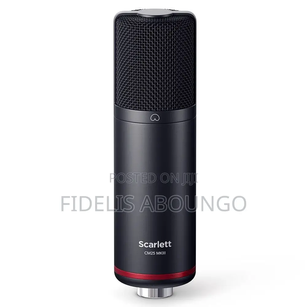 Focusrite Microphone