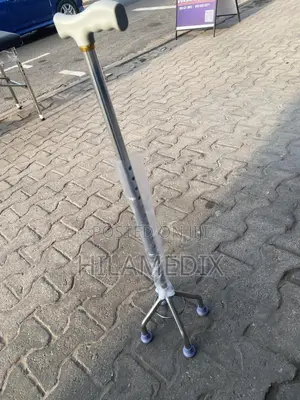 Walking Stick Quad Cane