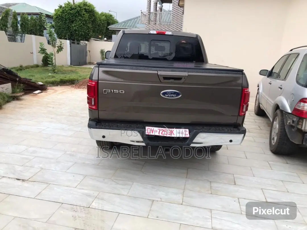 Ford F-150 2015 Brown