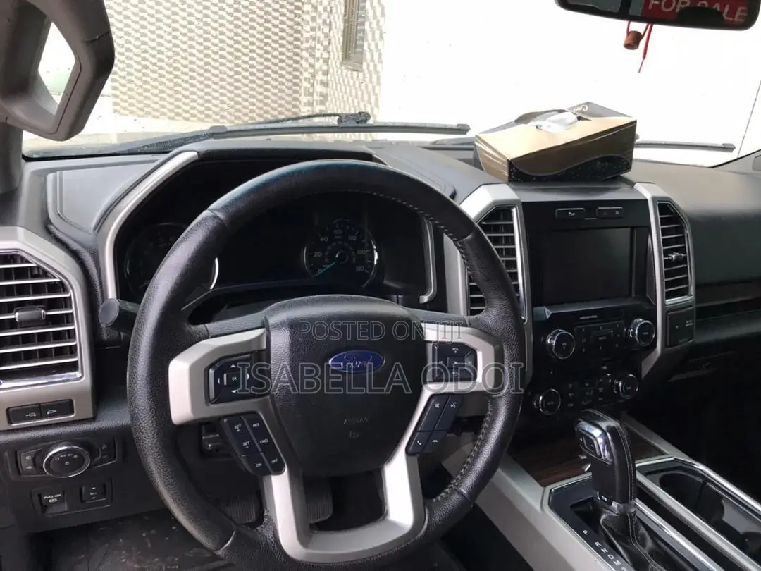 Ford F-150 2015 Brown