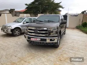 Ford F-150 2015 Brown