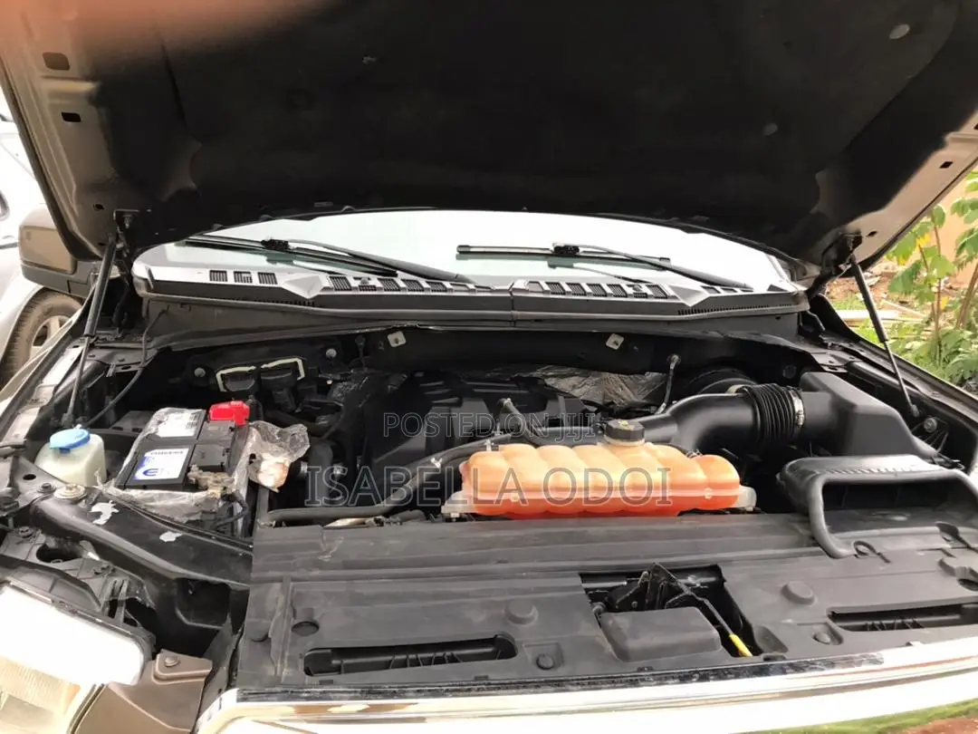 Ford F-150 2015 Brown