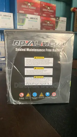 13plate Maintenance Free Battery