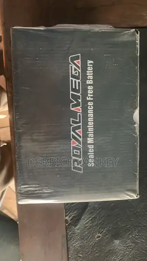 13plate Maintenance Free Battery
