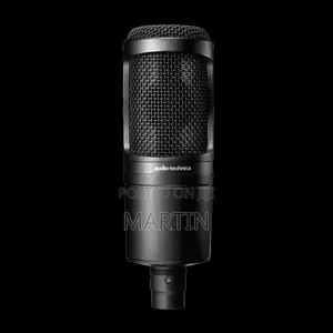 Audio Technica At2020