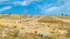 Registered Full Plot Tsopoli – Serviced Ready at Skyport City