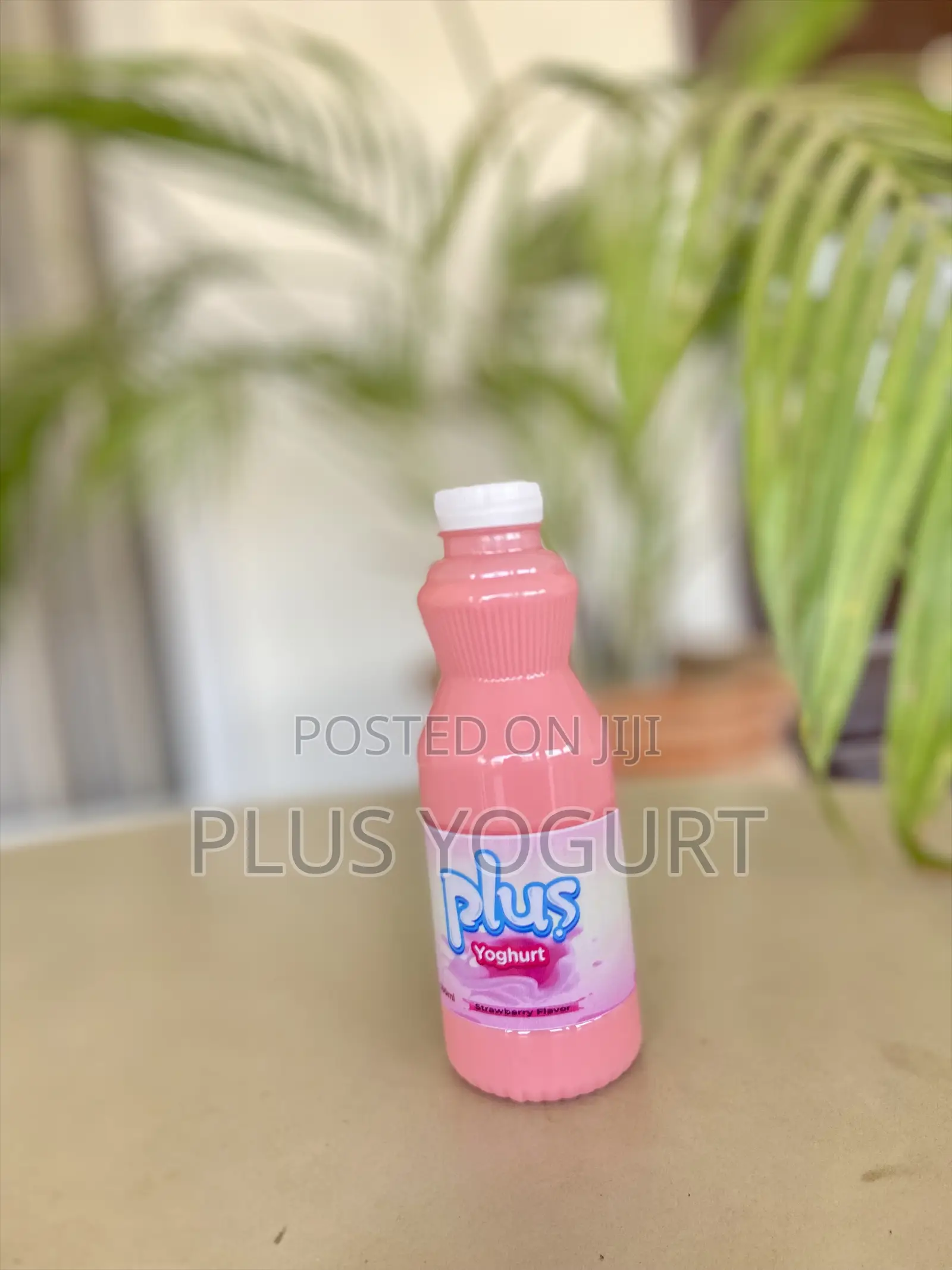 Plus Yoghurt