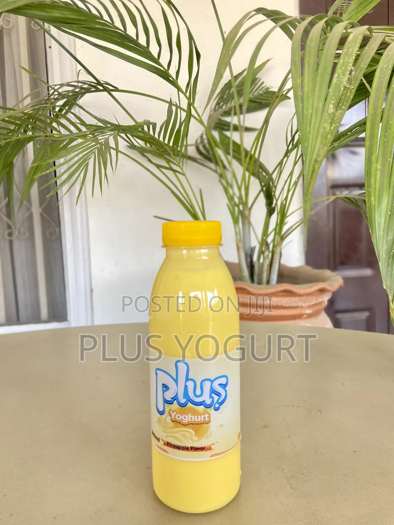 Plus Yoghurt