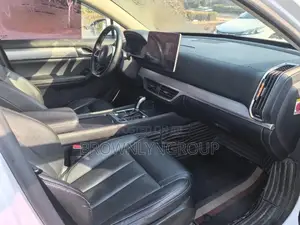 2018 Byd Tang for Rent