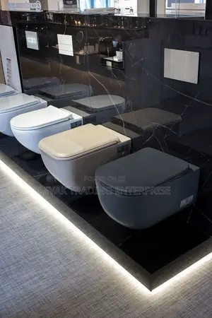 Concealed Watercloset_ Wall Mounted Wc