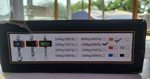 Crane Scale