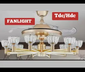 Luxury Stylish Fanlight With Remote Control