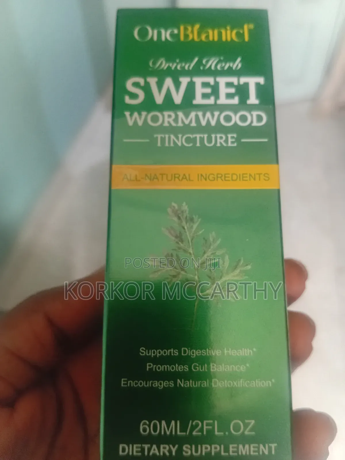 Sweet Wormwood(Pain Relief)