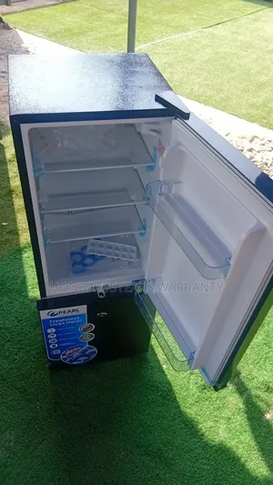 Small but Mighty Pearl 79-Liter Fridge