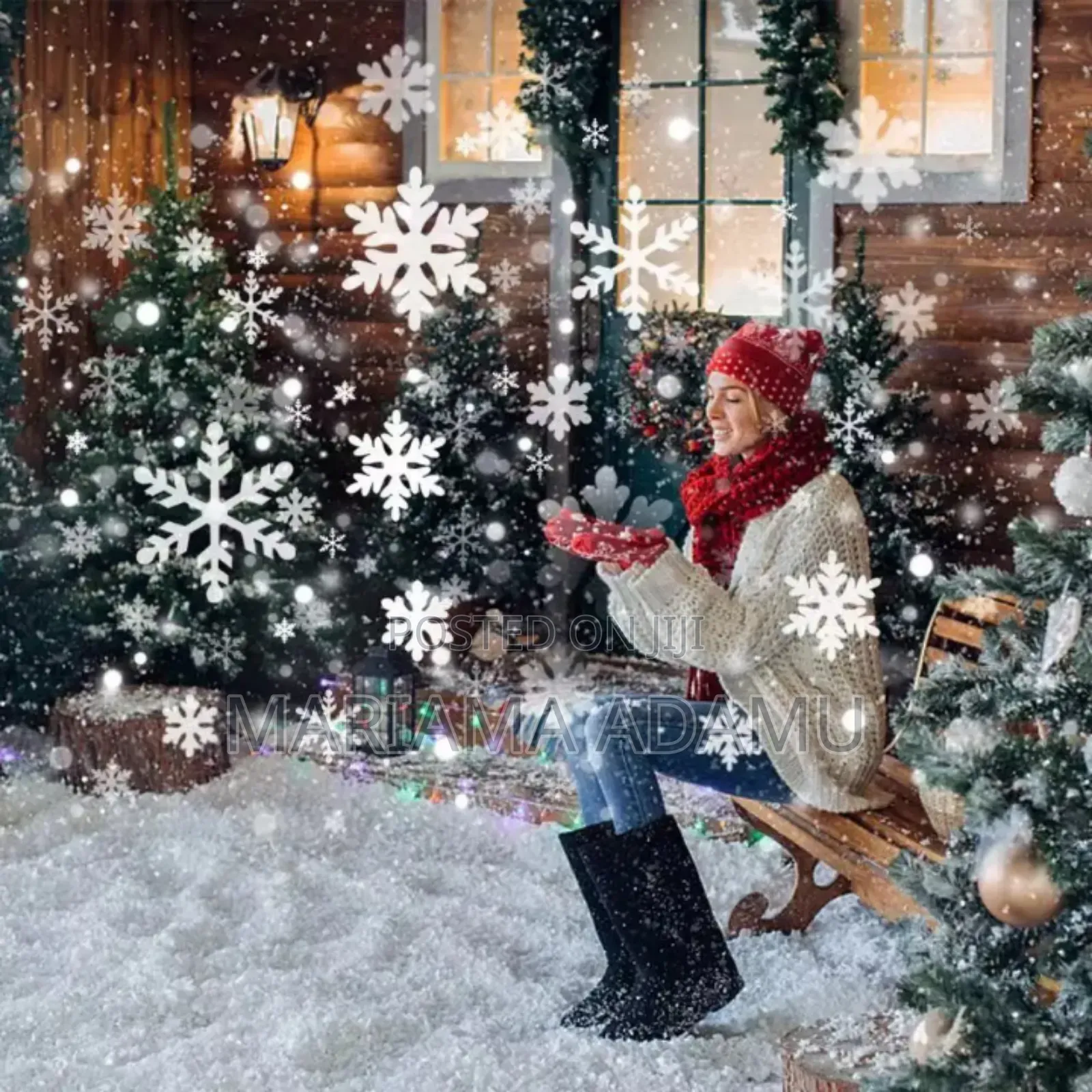 Snowflake's Projector Led Lights