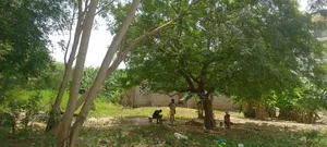 2plots 4sale Haatso