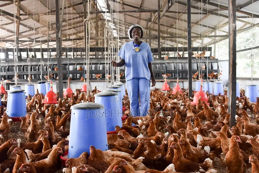 Poultry Farm Workers