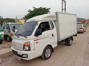 Hyundia Potter Container