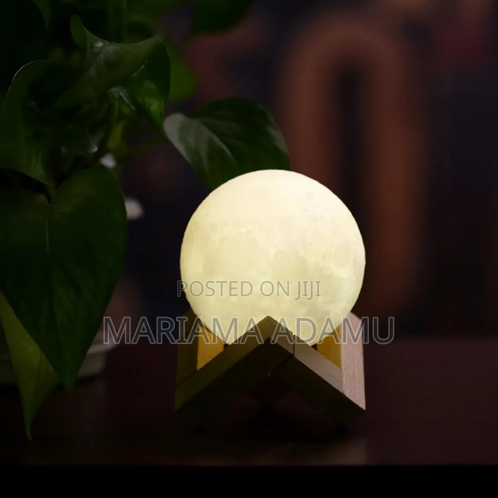 3d Mini Moon Light