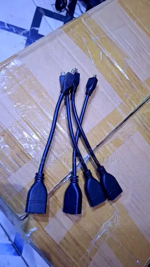 Micro to Hdmi Convertor