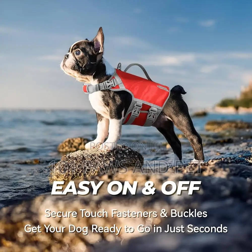 Dog Life Jacket