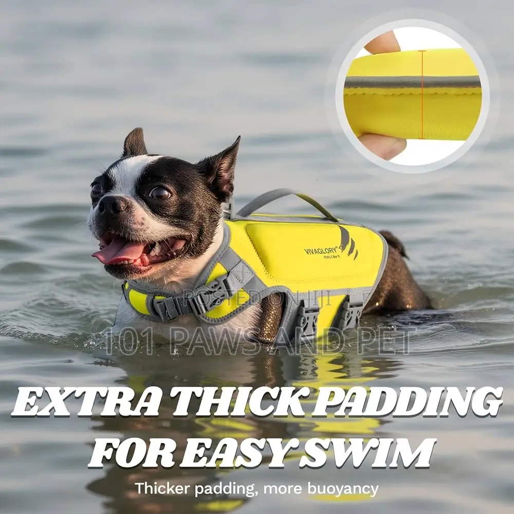 Dog Life Jacket