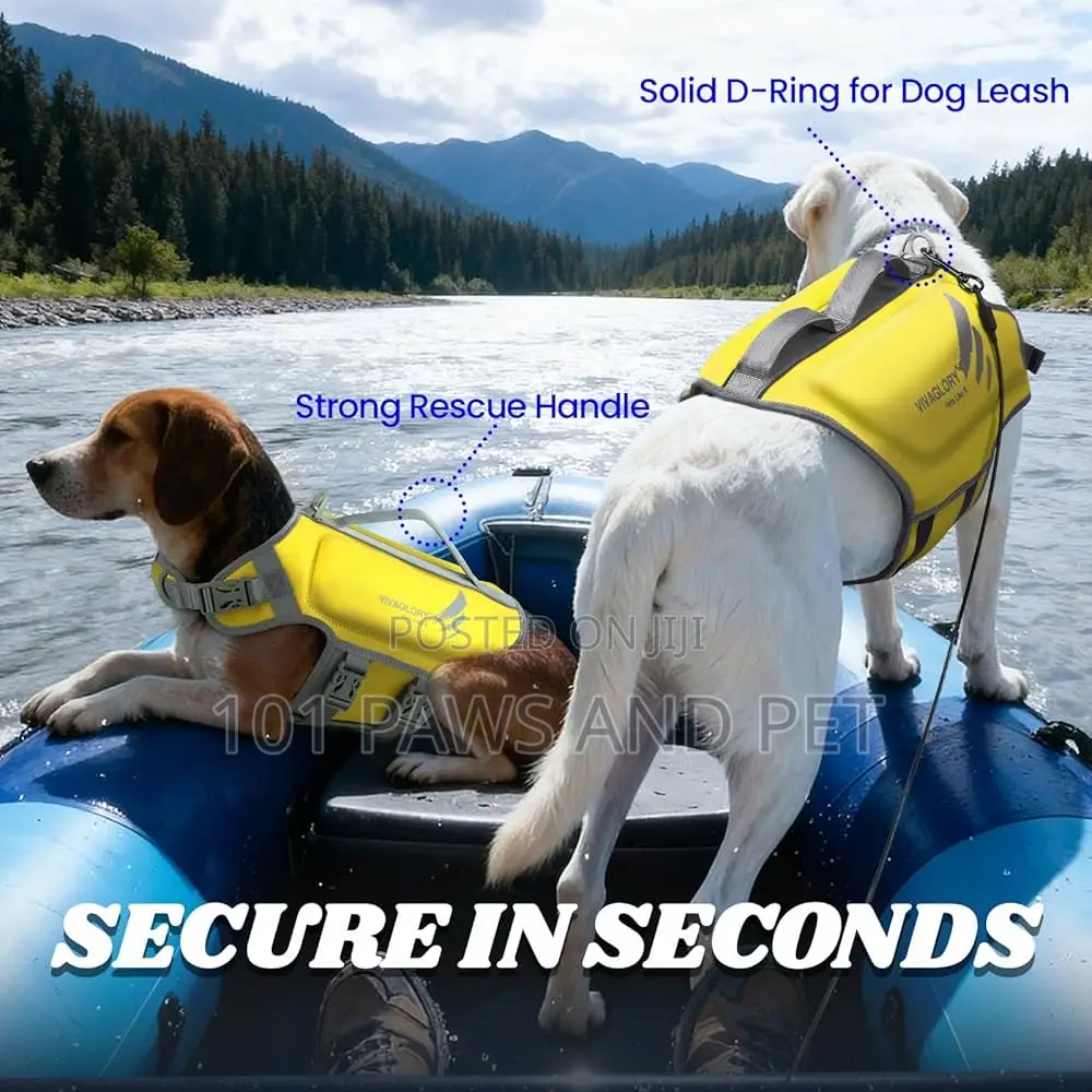 Dog Life Jacket