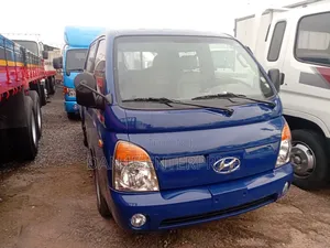 Hyundia Potter Double Cabin