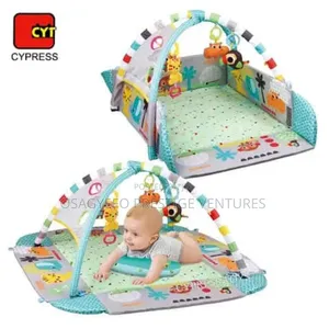 Adorable Baby Playing Mat And Gym