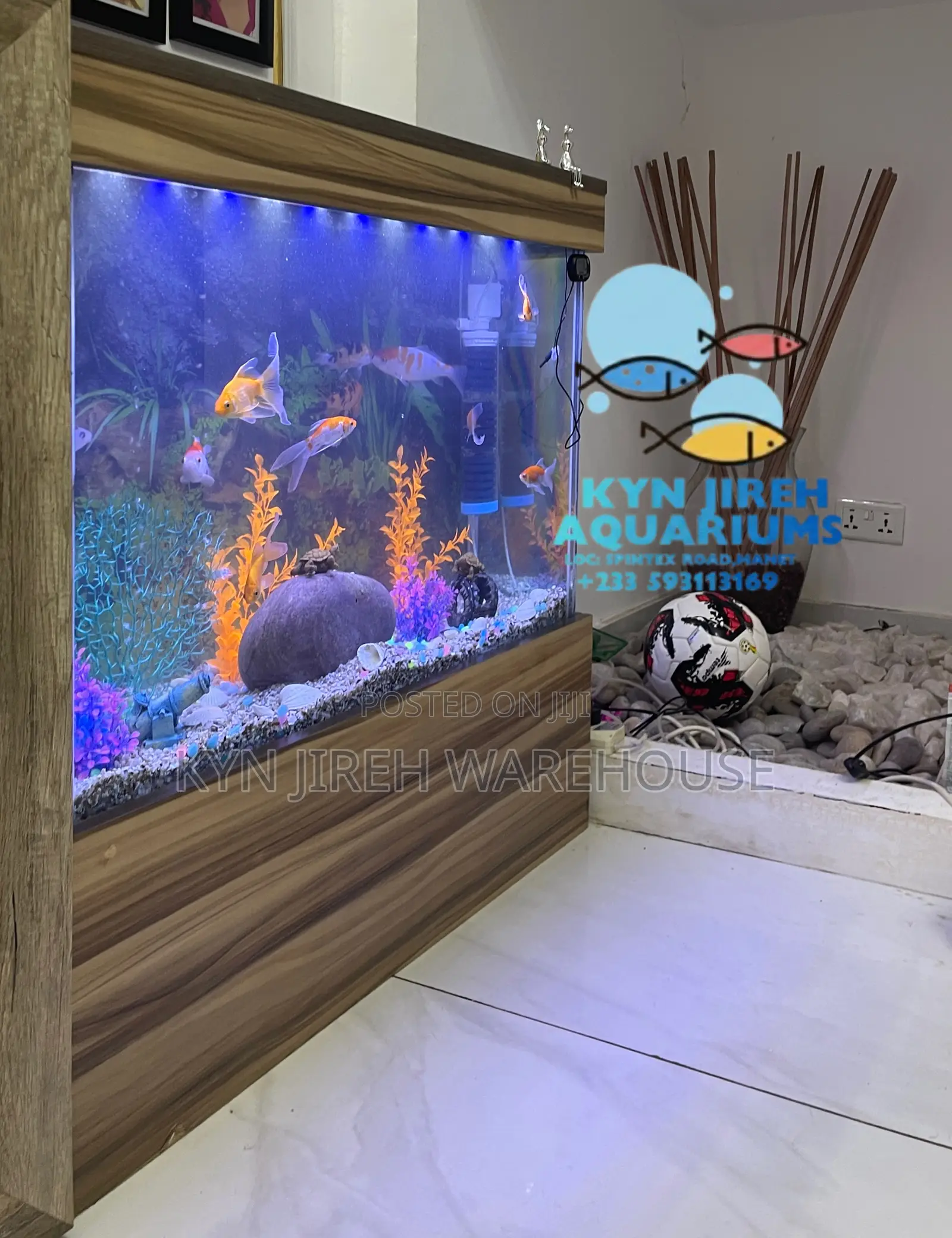 Turkish Aquarium With 15 Live Fishes