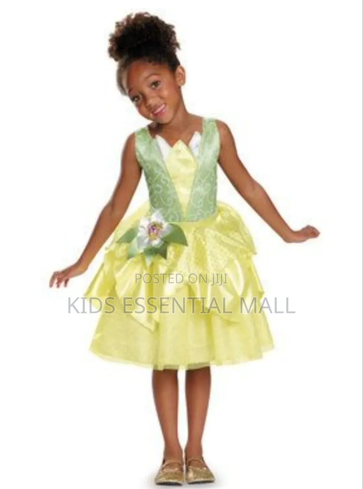 Princess Tiana and Fairy Princess Book Costume