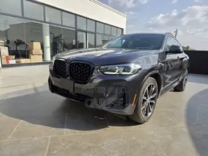 BMW X4 xDrive30i 2023 Gray