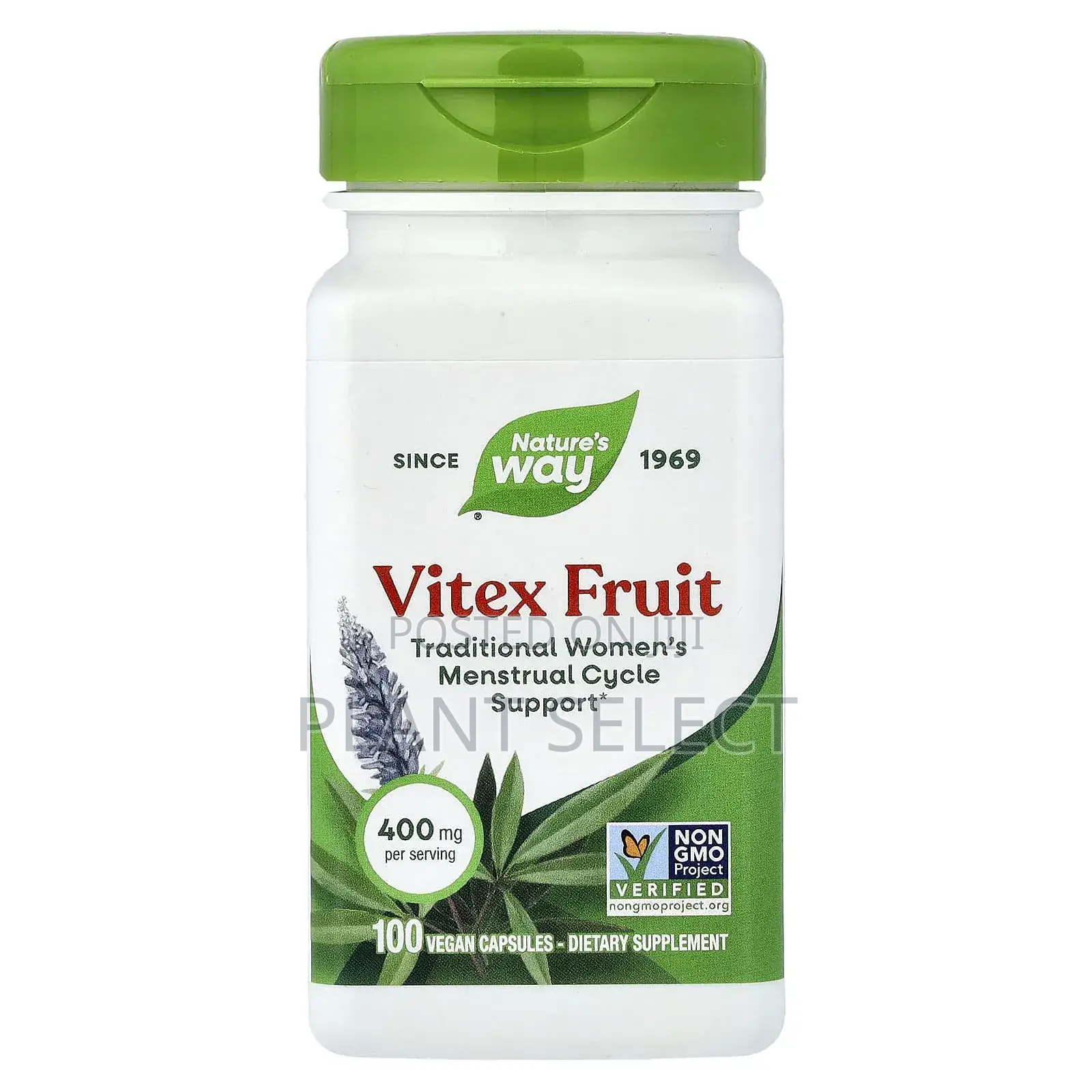 Chaste Berry (Vitex) Capsules