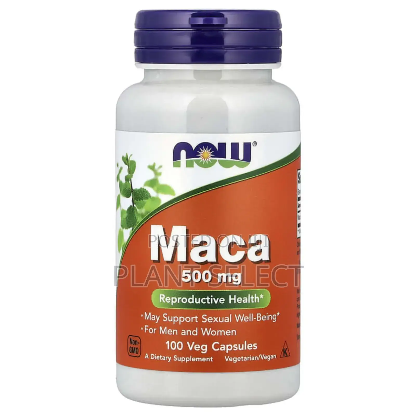 Maca (100) Capsules