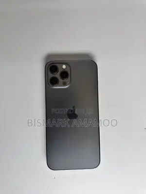 Apple iPhone 12 Pro Max 256 GB Gray